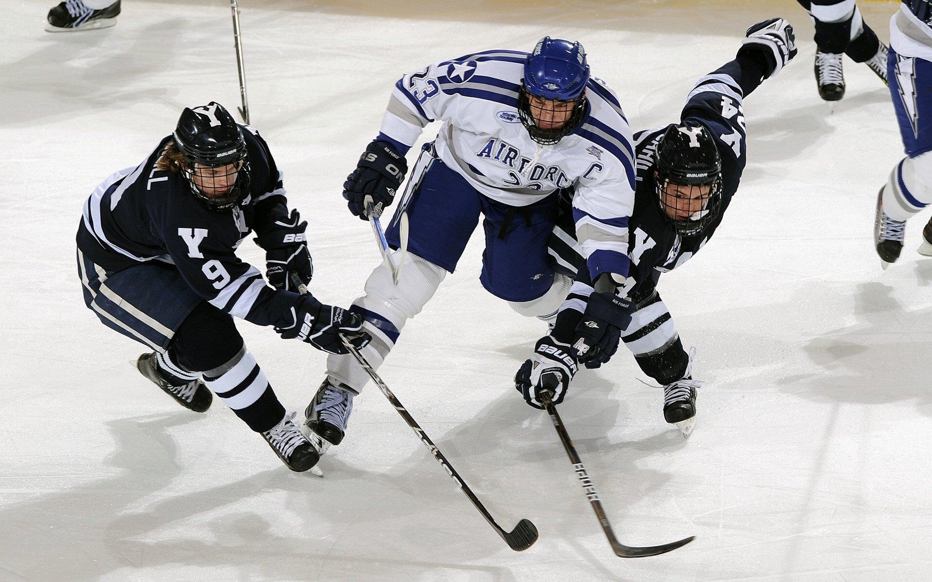 2024北京国际马拉松赛圆满落幕，埃塞俄比亚选手包揽男女冠军